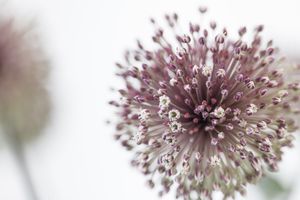 Comfortable therapy room with modern seating