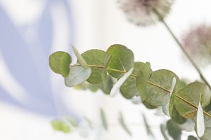 Private consultation room setup