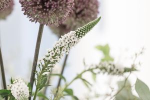 Individual therapy session